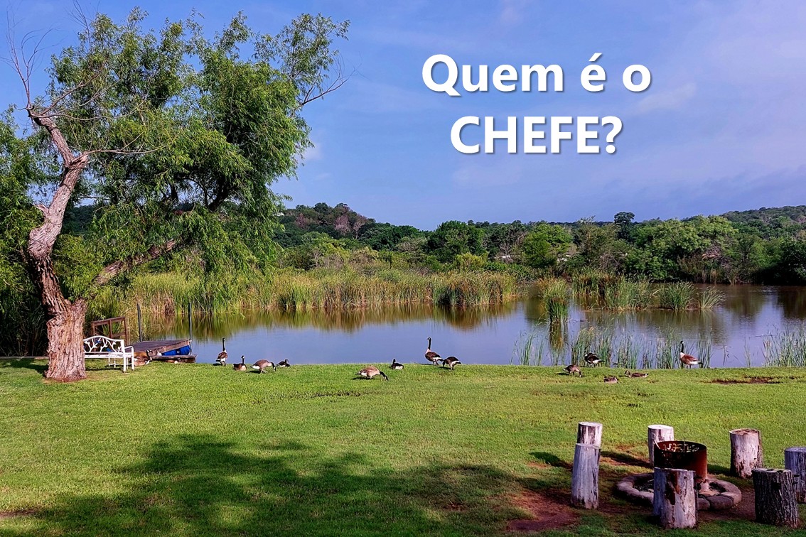 Quem é o chefe?
